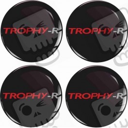 RENAULT Trophy Wheel centre Gel Badges Adhesivos x4