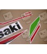 ADHESIVOS KIT KAWASAKI ZX-10R 2021 (Producto compatible)