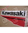 AUTOCOLLANT KIT KAWASAKI ZX-10R YEAR 2021 (Produit compatible)