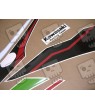 ADHESIVOS KIT KAWASAKI ZX-10R 2021 (Producto compatible)