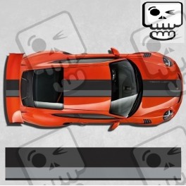 PORSCHE 991 GT3 RS Stripes DECALS
