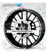 BMW G310R wheel decals stickers rim stripes 12 pcs. Laminated G310 R Motorsport