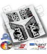 ADHESIVO FOX 38 PERFORMANCE ELITE 2021 WP333