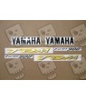 Yamaha-TDM 900-YEAR-2002 ADESIVI (Prodotto compatibile)