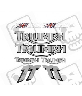 Decals TRIUMPH TT600