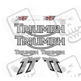 Decals TRIUMPH TT600