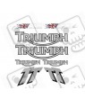 Decals TRIUMPH TT600