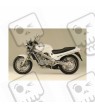 HONDA REVERE AUFKLEBER (Kompatibles Produkt)