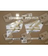SUZUKI HAYABUSA YEAR 1999-2007 CUSTOM CHROME GOLD DECALS (Compatible Product)