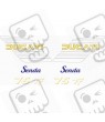 Ducati Senda 75 TT Adhesivos (Producto compatible)