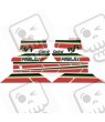 RIEJU RS 1 ADHESIVOS (Producto compatible)