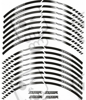 Triumph Speed Triple 1050R STICKERS LLANTAS MOTO (Producto compatible)