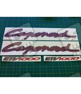 Stickers decals kit motorcycle Aprilia Caponord (Compatible Product)