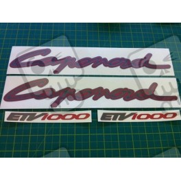 Stickers motorcycle Aprilia Caponord (Compatible Product)