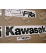 AUTOCOLLANT KIT KAWASAKI ZX-10RR YEAR 2021 (Produit compatible)