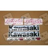 KAWASAKI ZX-7RR 1996 GREEN DECALS (Compatible Product)