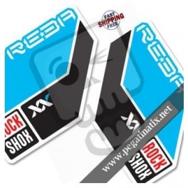 FORK ROCK SHOX REBA 2011 DECALS KIT STICKERS FORKS