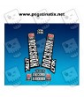 STICKERS DECALS FOXROX LYRIK 2018 SET DECALS AM131