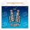Adhesivo horquilla MTB ROCK SHOX REVELATION AM132 2018 (Producto compatible)