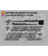 Sticker decal bike Santa Cruz HECKLER 