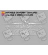 Sticker decal bike Santa Cruz HECKLER 