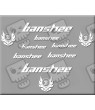 STICKER DECALS BIKE BANSHEE
