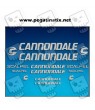STICKER DECALS BIKE CANNONDALE SCALPEL AM26 