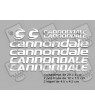 STICKER DECALS BIKE CANNONDALE 
