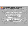 Stickers decals bike MANITOU F215