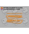 Stickers decals bike MANITOU F215