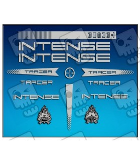 Adhesivos stickers INTENSE TRACER AM56 (Producto compatible)