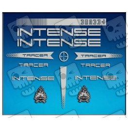Sticker decal bike INTENSE TRACER AM56