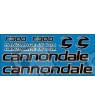 STICKER DECALS BIKE CANNONDALE 