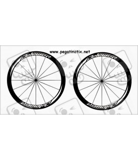 Sticker decal bike wheel rims DELAWER