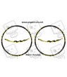 Sticker decal bike MAVIC DEEMAX