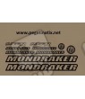 STICKER DECALS BIKE MONDRAKER FACTOR RR