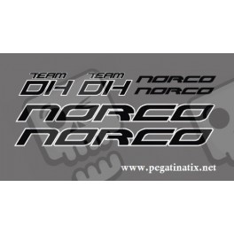 Stickers decals bike NORCO DH TEAM
