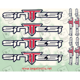 Sticker decal bike SINTTESI 