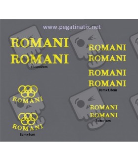 Adhesivo sticker Bicicleta MTB ROCK ROMANI (Producto compatible)