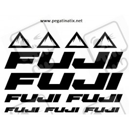 Stickers decals bike FUJI