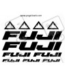 Stickers decals bike FUJI