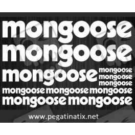Stickers decals cycle MONGOOSE