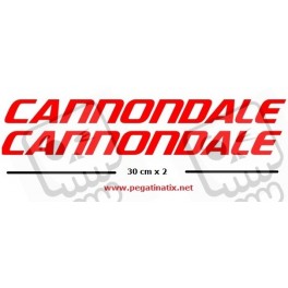 STICKER DECALS BIKE CANNONDALE SAECO