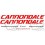 Adhesivo sticker MTB CANNONDALE SAECO (Producto compatible)
