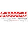 STICKER DECALS BIKE CANNONDALE SAECO