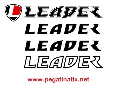 Leader Bike Logo Electric Bicycle LEADER FOX Brasa 26