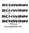 Stickers decals cycle SCHWINN