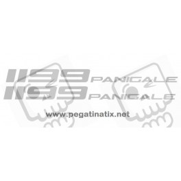 Stickers decals motorcycle DUCATE 1199 PANIGALE