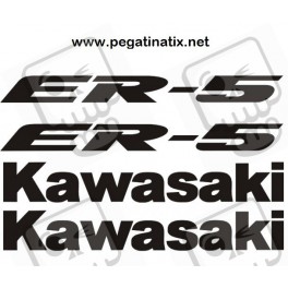 Stickers decals KAWASAKI ER5
