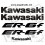 Stickers decals KAWASAKI ER-6F (Compatible Product)